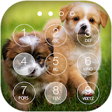 Cute Puppy Keypad Screen Lock icon