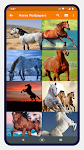 screenshot of Horse Wallpaper 4K