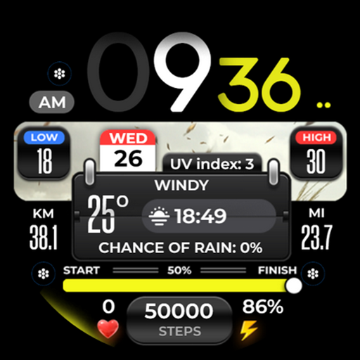 OMG 299 Weather Watch Face