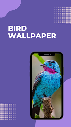Bird Wallpaper 4k - Ringtonesのおすすめ画像5