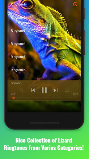 Lizard Sounds Screen 2