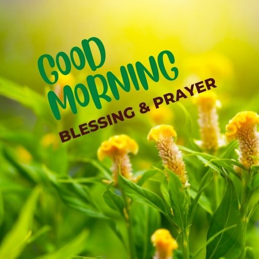 Good Morning Blessing & Prayer Download on Windows