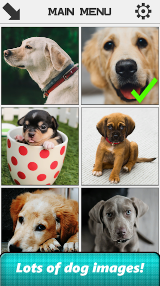 Dog Slide Puzzle - Screenshot 2