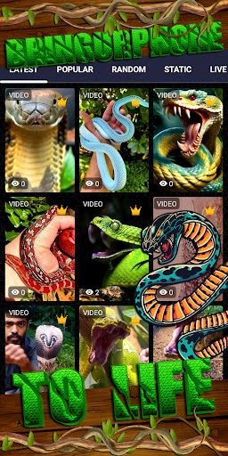 snake wallpaper Screenshot 2 - AppWisp.com