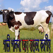 গাভী পালনে আয় বাড়তে করণীয় - Dairy farming