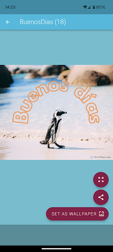 Buenos días imágenes y frases