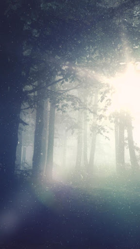 Android application dark forest wallpaper screenshort