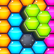 Hexa Block Puzzle 2021 app icon