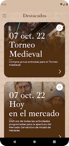 Mercado Cervantino Screen 3