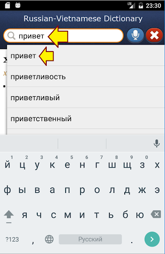 Russian-Vietnamese Dictionary Screen 2