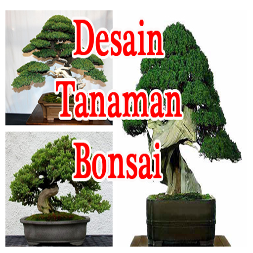Bonsai Plant Design Idea logo