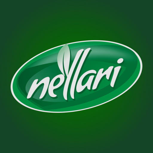 Nellari Salesfokuz logo