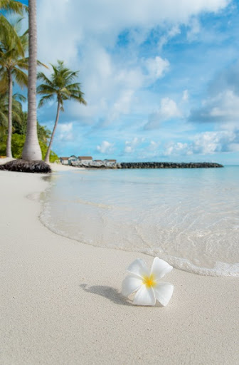 海の壁紙 By Pames Google Play Japan Searchman App Data Information