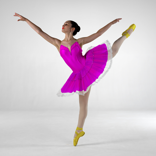 Ballet for beginners logo