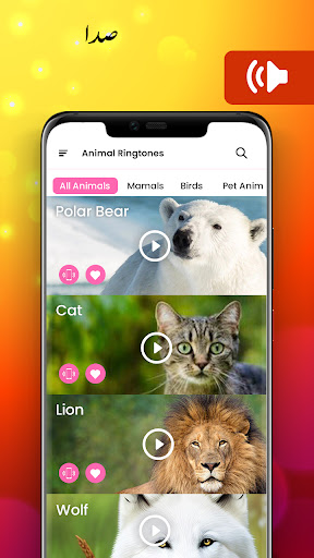 پیش نمایش برنامه