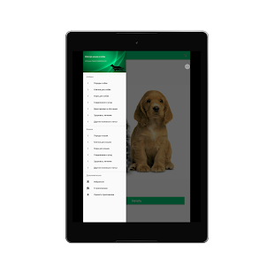 Всё про кошек и собак Screenshot