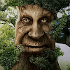Wise Mystical Tree icon