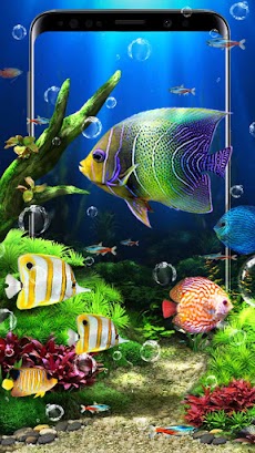 海の魚ライブ壁紙 Androidアプリ Applion
