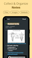 screenshot of Workflowy |Note, List, Outline