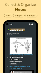 Workflowy – Notes, Lists, Outlines v3.5.170 Ad-Free Mod 1