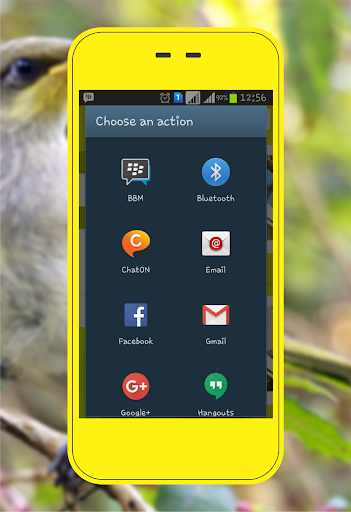 Cucak Kombo Screen 3