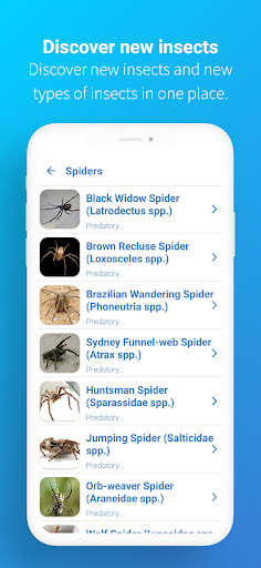 FotoInsect - Bug AI Identifier Screen 3