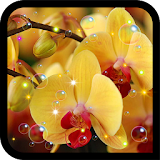 Orchid Free live wallpaper icon