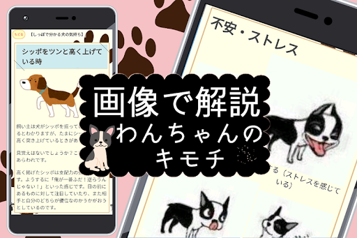 Updated 犬の言葉がわかるアプリ バウリンガル 翻訳 ワンちゃんのお世話 いぬの気持ち イヌの鳴き声 Pc Android App Mod Download 22