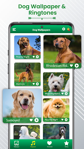 Android application Dog Sound Ringtones Wallpapers screenshort