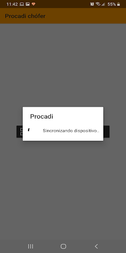 Procadi choferes Screen 2
