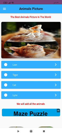 Animals Picture Screen 3