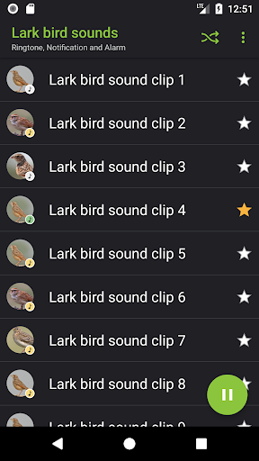 Lark bird sounds Screen 2