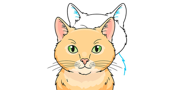 How to draw animals - Apps on Google Play