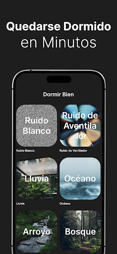 Vista previa de la aplicación