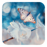 Pure white butterfly fly icon