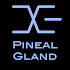 BrainwaveX Pineal Gland1.0.4