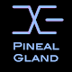 BrainwaveX Pineal Gland Tải xuống trên Windows