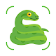 Herps identifier: snake snap Download on Windows