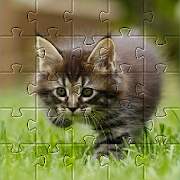 Kittens Jigsaw Puzzles ?????