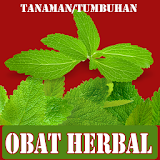 Tanaman Obat Herbal icon