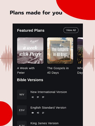 Bible - Audio & Video Bibles screenshot