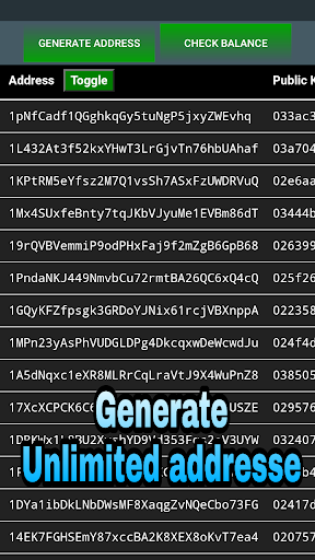 Bitcoin - Check - Generate Screen 3