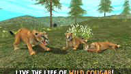 Télécharger Wild Cougar Sim 3D APK MOD (Astuce)