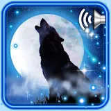 Wolf Moon Song icon