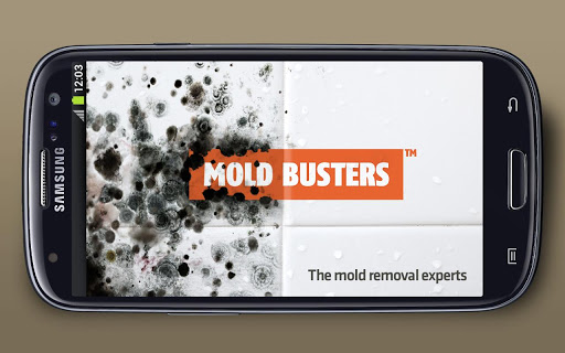 Mold Busters Game