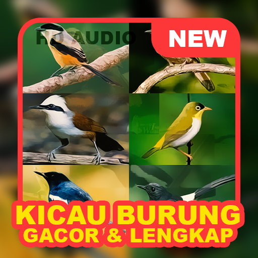 Android application Suara Kicau Burung Gacor screenshort