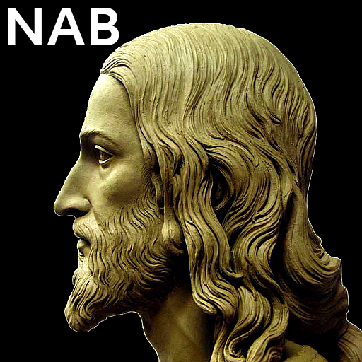 N.A.Bible  Icon