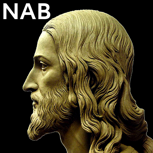 N.A.Bible 0.1.1 Icon