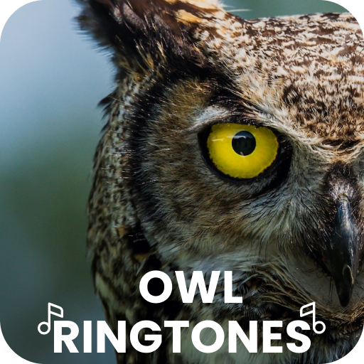 Owl Ringtones logo