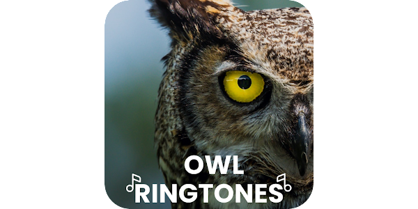 Owl Ringtones - Apps on Google Play